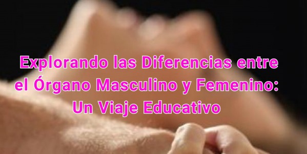  Explorando las Diferencias entre el Órgano Masculino y Femenino: Un Viaje Educativo..